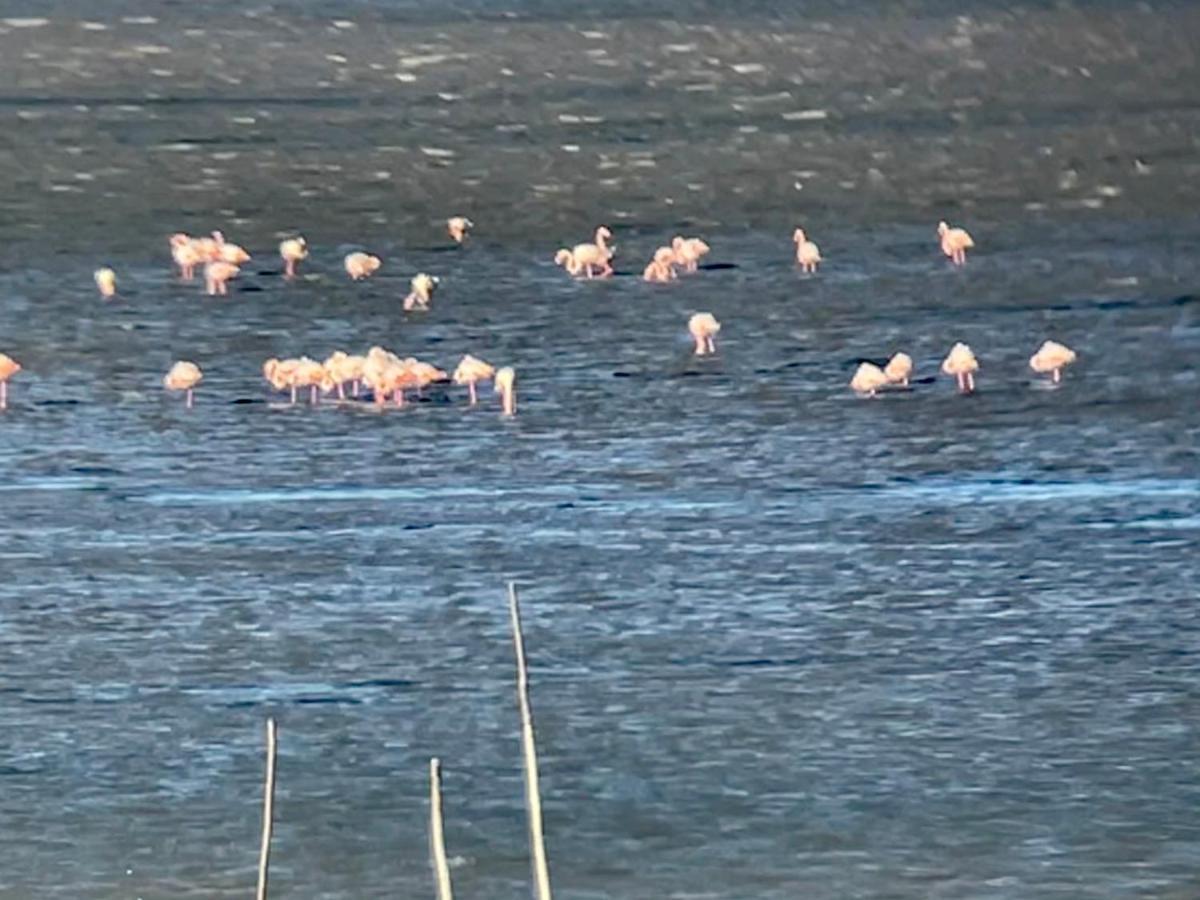 Parenthese Au Bord De L'etang Apartamento *