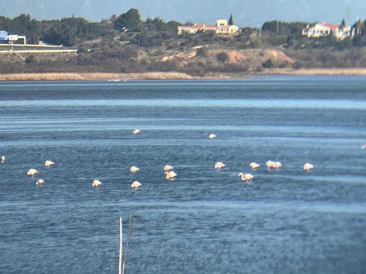 Parenthese Au Bord De L'etang * Bages (Aude)